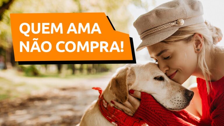 Leia mais sobre o artigo Quem ama adota e não compra cachorro!