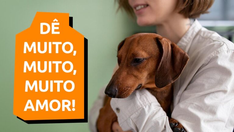 Leia mais sobre o artigo Cachorro adotado, amor em dobro!