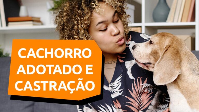 Leia mais sobre o artigo Vale a pena castrar o cachorro adotado?