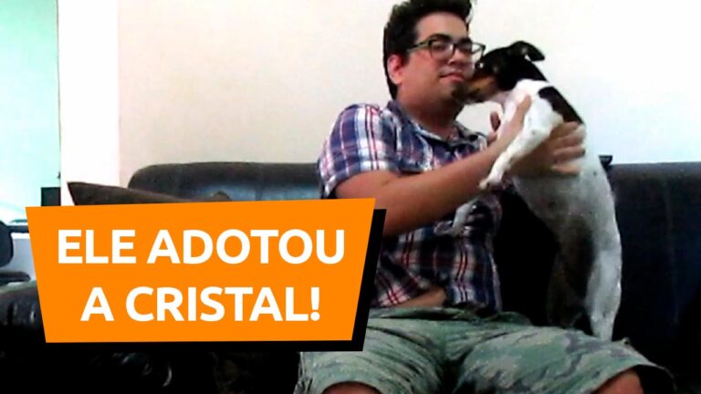 Leia mais sobre o artigo ❤️ DEPOIMENTO DE QUEM ADOTOU UM CACHORRO – DOUGLAS