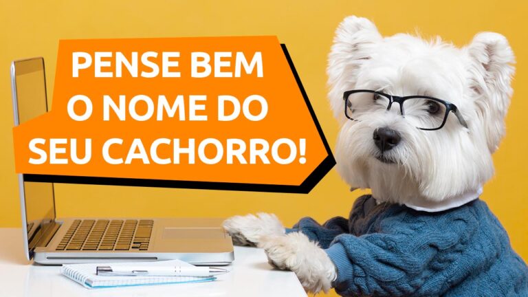 Leia mais sobre o artigo Como escolher o nome do seu cachorro?