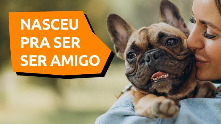 Leia mais sobre o artigo Como adotar um cachorro de acordo com o seu perfil