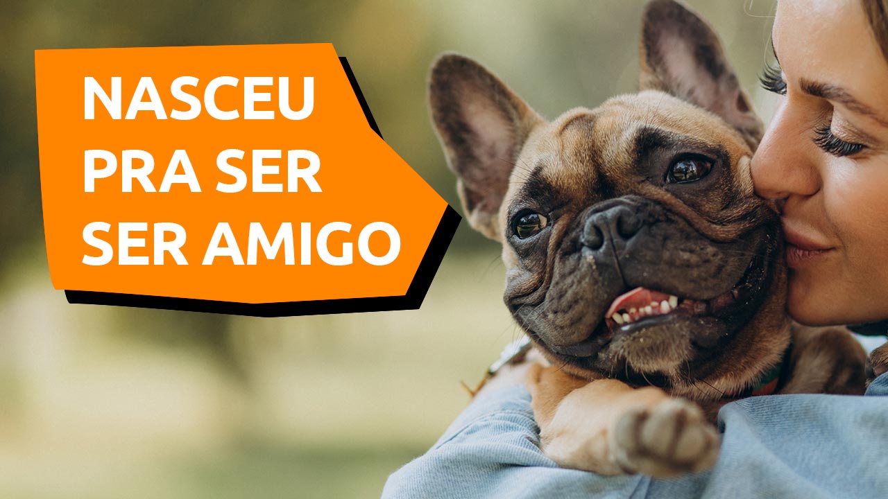 Você está visualizando atualmente Como adotar um cachorro de acordo com o seu perfil