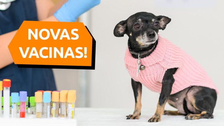 Leia mais sobre o artigo Cães adotados e as vacinas necessárias