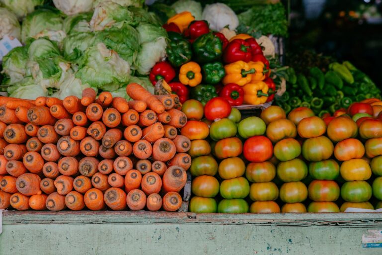 Leia mais sobre o artigo 7 mitos e verdades sobre a alimentação de cães e gatos